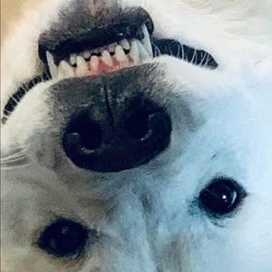 Meet your Posher, Brooklynn